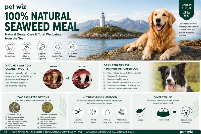 pet wiz 100% Natural Seaweed Meal for Dogs – Natural Plaque & Tartar Remover, Freshens Bad Breath & Promotes Healthy Gums – Supports Digestion & Overall Health – Made in UK (250g) Meal - 250g
