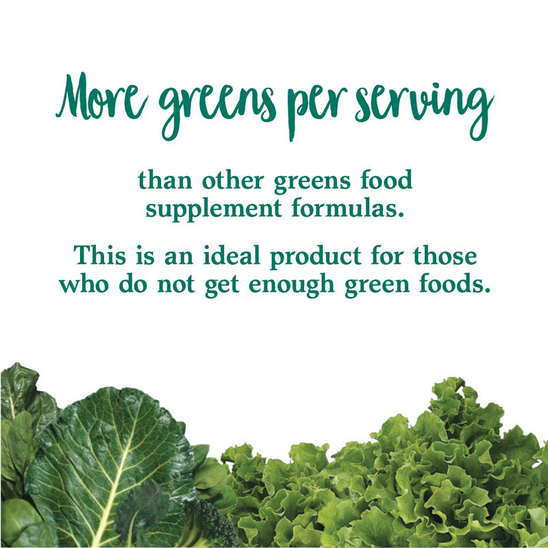 Garden of Life Perfect Food Original Super Green Formula - 30 Servings | 45 Superfoods, Greens, Sprouts Plus HSO Probiotics, Enzymes & Ionic Plant Based Minerals - Juiced Superfood Powder Supplement | Phytonutrient-Dense Superfoods