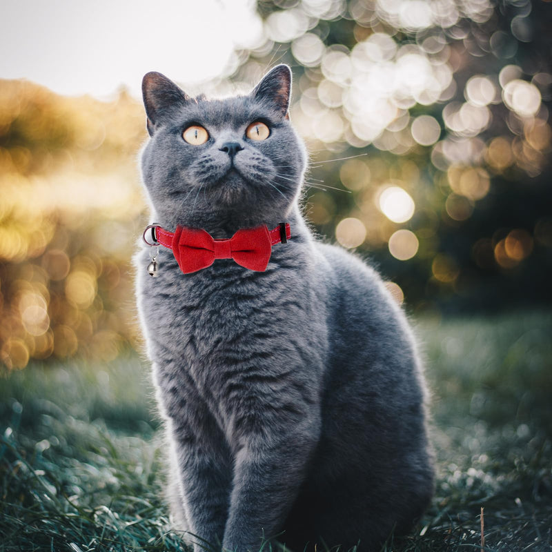 2 Pcs Red Cat Collar for Boy Girl Cats Breakaway Cat Collars with Bell Cute Christmas Kitten Bow Tie Collar Adjustable Small Puppy Safety Collar Solid Color Plaid Pet Collar - BeesActive Australia