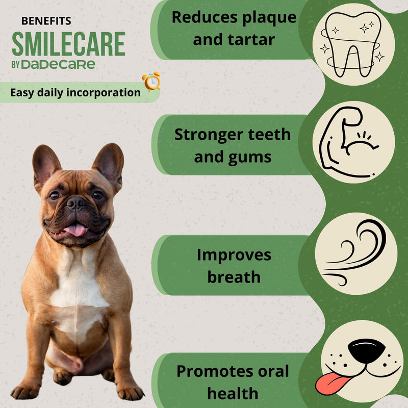 Smilecare Bad Breath Powder, Algae Kelp, Natural Toothpaste Alternative for Dogs and Cats, Improves Breathing, Reduces Tartar, Preventive Against Dental Problems