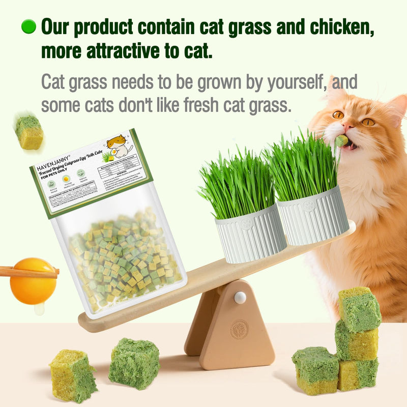 Freezed-Dried Cat Grass Treats, Catgrass Egg Yolk Duo Bites, Cat Dental Treats for Hairball Control and Healthy Coat, Cats Teething Stick (60g, EggYolk) 2.11 Ounce (Pack of 1)