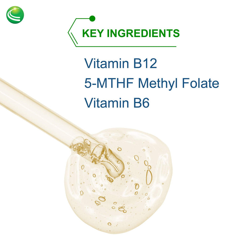 Nutra Biogenesis Methyl Factors, Vitamin B12 Drops, 2 fl oz | Methylfolate Drops Liquid for Women & Men, B Complex with Folic Acid for Kids & Adults