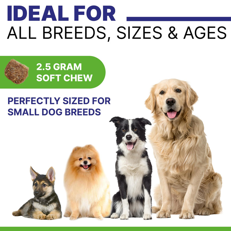 ADVANCED Hemp Hip & Joint Supplement for Dogs - Glucosamine for Dogs - Dog Joint Pain Relief Treats - Chondroitin Turmeric MSM Hemp Oil - Hemp Treats for Joint Health - Senior Mobility Support Chew 240 Count