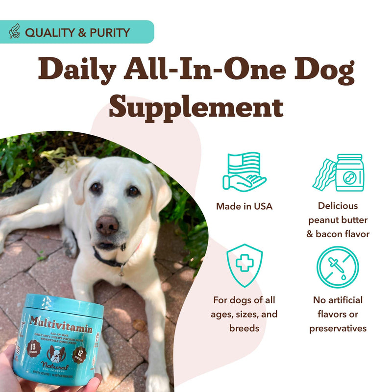 Natural Dog Company 25-in-1 Multivitamin for Dogs – Vet-Formulated Soft Chews for Puppies, Adults & Seniors, Supports Joints, Skin, Coat, Immune & Heart Health, NASC Certified, 180 Count