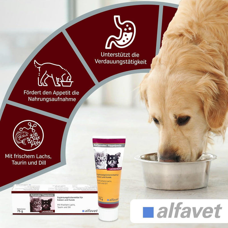 alfavet, ReConvales Päppelpaste, pack of 3, salmon cream, supplementary food for cats and dogs, 3 x 75g tube - BeesActive Australia