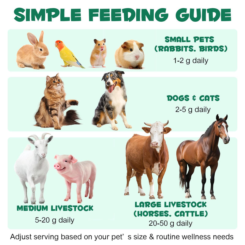 Activated Charcoal for Dogs & Cats - Food Grade Powder for Digestive Support & Gut Health | Natural Aid for Gas, Stool Quality & Digestive Balance | Suitable for Small Animals, Poultry & Livestock