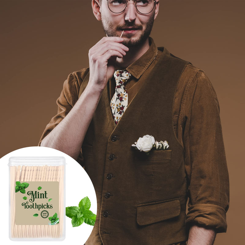 600 Pcs Bulk Mint Toothpicks Wood Toothpicks Mint Flavored Toothpicks with 6 Clear Plastic Boxes for Kitchen Appetizers Fruit Tray Essential Teeth Dental Care - BeesActive Australia