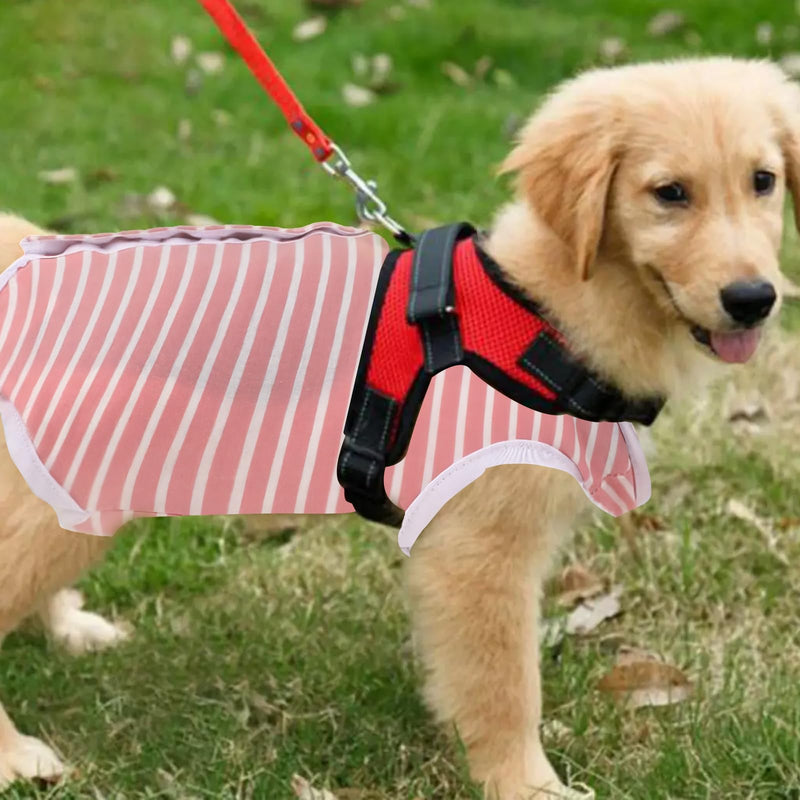 Dokeno Dog Bodysuit After Surgery Recovery Suit for Dogs Anti Licking Dog Onesies Dog Recovery Suit Cone E-Collar Alternative Recovery Suit for Dogs Cats After Surgery (M) M - BeesActive Australia