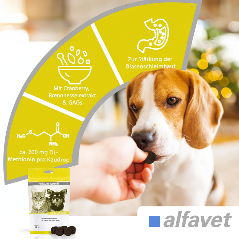 alfavet Feligum Struvit, chewing drops for dissolving struvite stones, cats and small dogs, 160g - BeesActive Australia