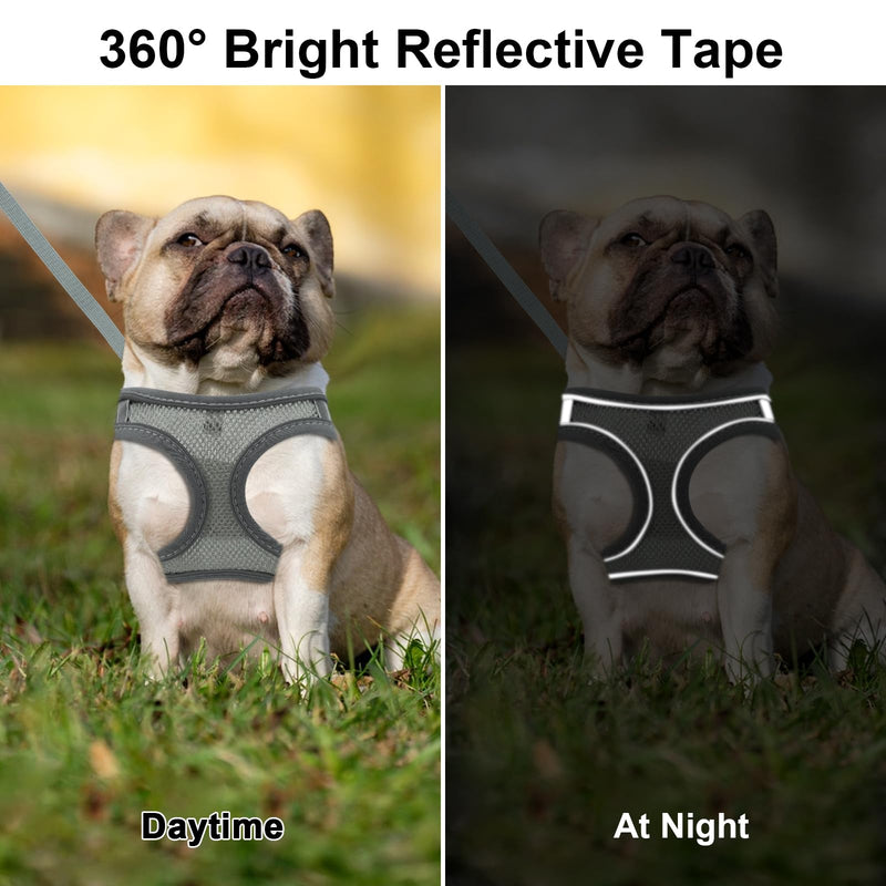 Breathable Cat Harness, Gray Reflective Harness Set, Adjustable Cat Harness Escape-Proof, Adjustable Cat Harness with Leash, Cat Harness Escape-Proof for Outdoors (XXS) XXS - BeesActive Australia