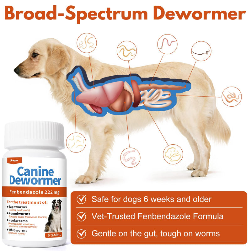 Canine Dewormer (Fenbendazole) for Roundworms, Hookworms, Tapeworms & Whipworms, 6 Chewable Tablets