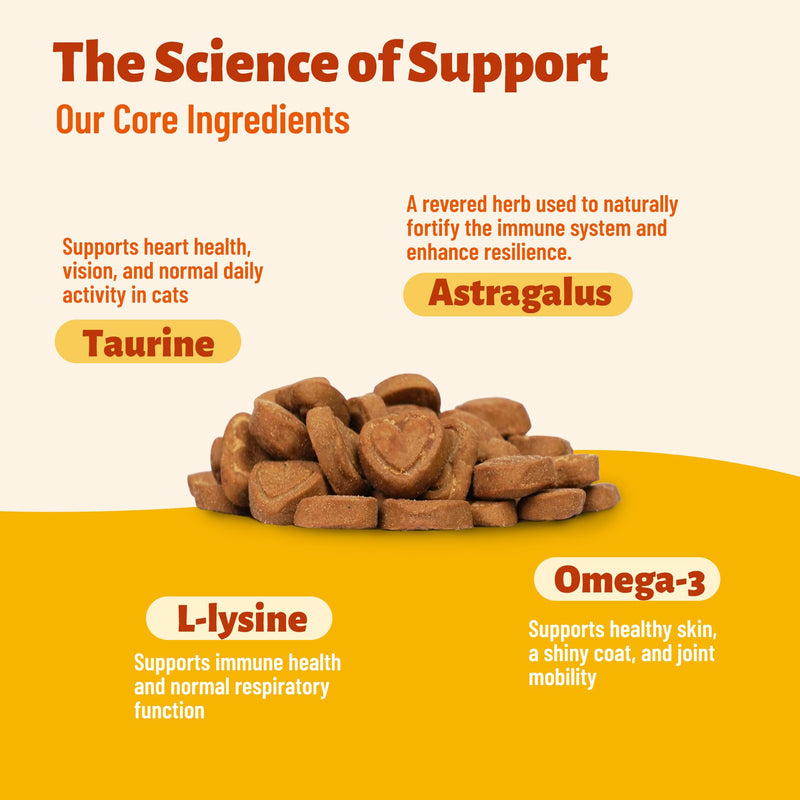 220g L-Lysine for Cat Chews with Vitamins and Supplements - Omega 3,Multivitamin,Taurine for Cat & and Kittens Treats - Immune,Respiratory,Eye Health - Chicken Flavor