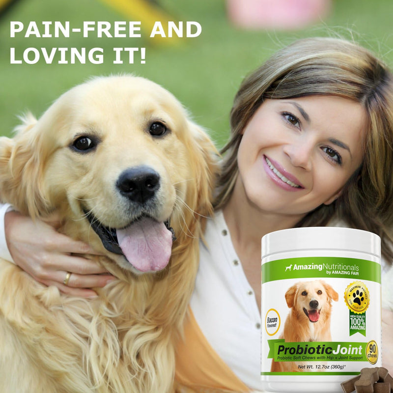 Probiotics for Dogs Digestive Health Turmeric Joint Support Bundle - Eliminates Joint Pain Inflammation, Incontinence, Gas and Diarrhea Soft Chews