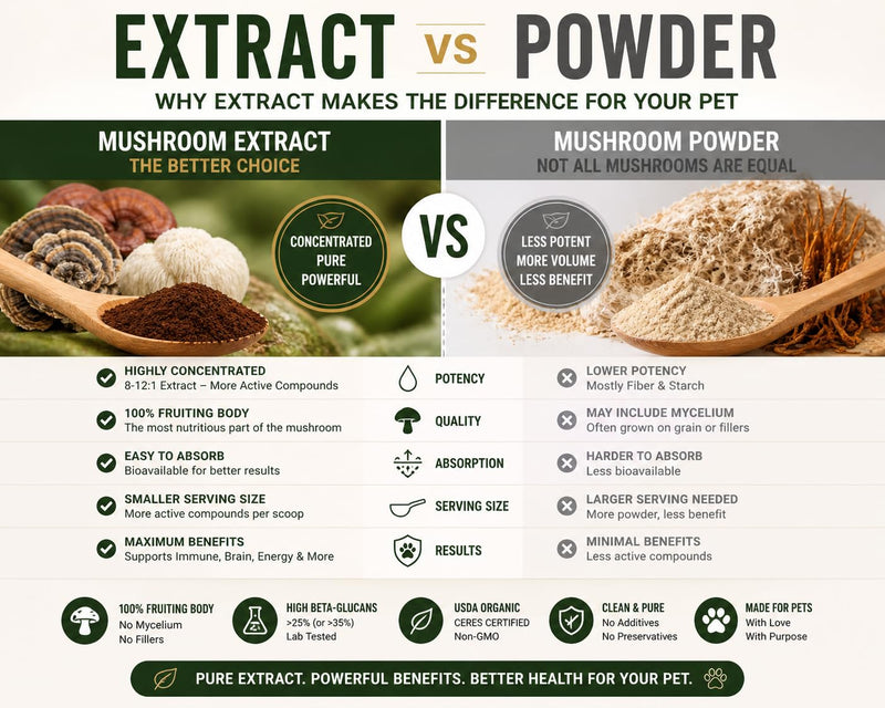 Reishi Mushroom Extract for Dogs & Cats – 35%+ Beta Glucans – Fruiting Body (8:1–12:1 Concentrated) – Immune Support, Calming & Relaxation – No Fillers – 250 Servings