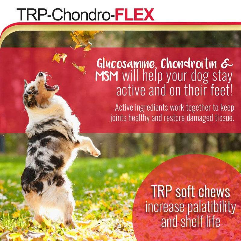 PHS TRP-Chondro-Flex Joint Support Supplement for Dogs - Glucosamine, MSM, Chondroitin - Hip and Joint Pain Relief and Support - Made in USA - 120 Soft Chews - BeesActive Australia