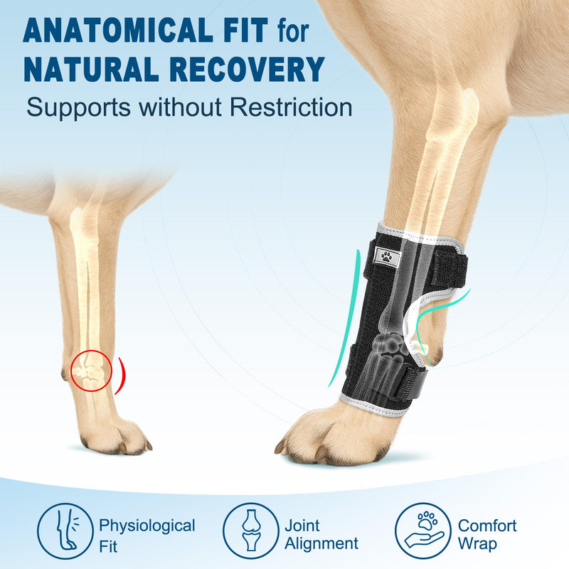 Dog Front Leg Brace: Adjustable Splint for Ankle, Front Leg, Ankle, Fore Limb, Sprain Wrap with Removable Metal Springs and Reflective Edge, for Arthritis, Sprains, and Injury Support(S) Matte Black S