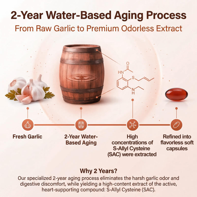 Aged Odorless Garlic Extract Softgels with CoQ10 Ubiquinol and Vitamin K2 - 1200mg Aged Garlic Supplement, S - Allyl Cysteine Standardized for Optimal Heart Health & Immune Support - 120 Softgels