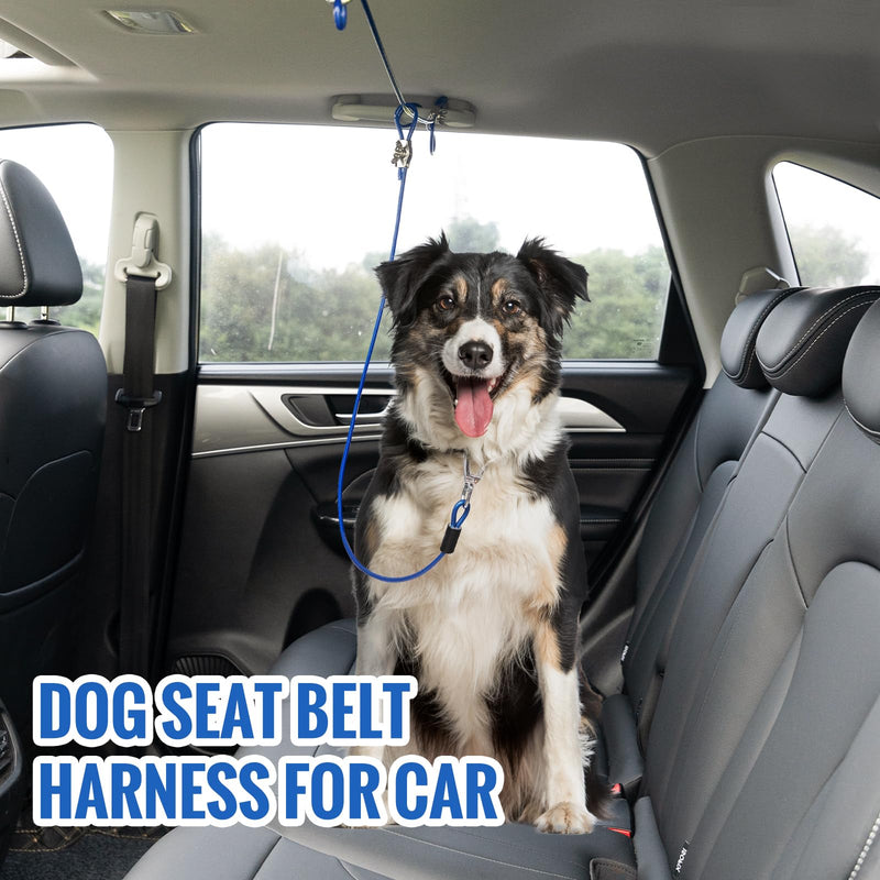 Adjustable Dog Seat Belt Harness for Car,Chew Proof Dog Car Leash Up to 200Lbs,Vehicle Dog Tether Car Restraint,Dog Truck Barrier Tie Down Out,Dog Safety Harness for Car Travel(5FT,for 1 Dog) 5FT Blue,For 1 Dog - BeesActive Australia