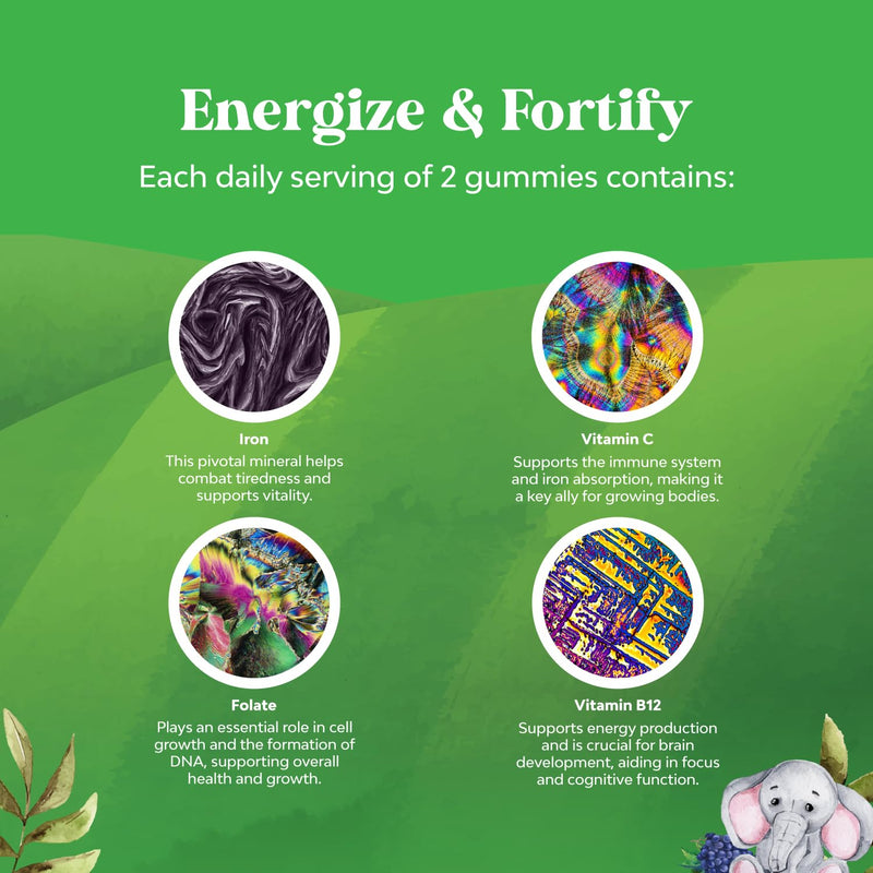 Kids Iron Gummies - Blood Builder Iron Supplements for Kids with Gentle for Stronger Immunity & Energy - Vitamin B12, Folate & Vitamin C Gummies - Vegan GMO & Gluten Free for Toddlers - 60 Count 60 Count (Pack of 1)