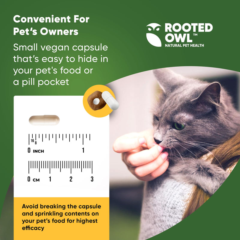 Rooted Owl Metabolism Support - L-Carnitine Supplement for Dogs and Cats to Support Healthy Weight - Dog and Cat Supplement - 60/ct Weight Management
