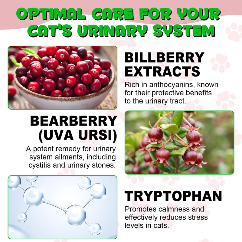 Cat Urinary Tract Infection Treatment, Cat UTI Treatment Drops Supports Bladder, Kidney Stone, Cranberry Kidney Bladder Support Supplement, Chicken Flavor, 60ml