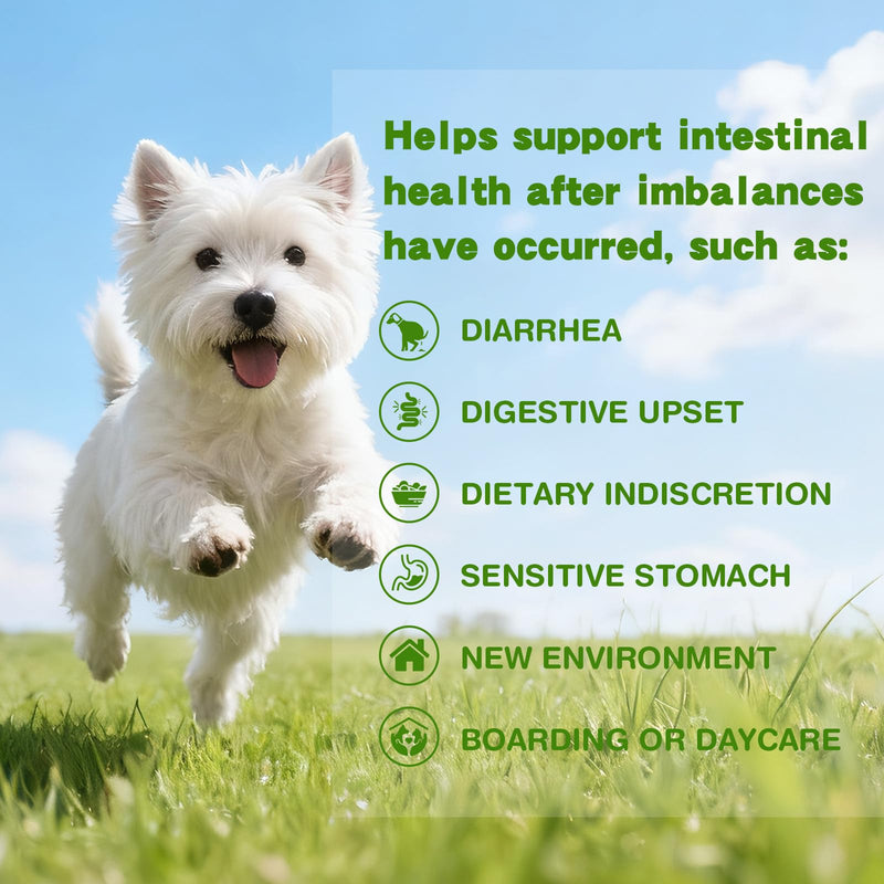 Probiotics for Puppies - 5 Billion CFU Digestive Health Supplement with 9 Strains & Prebiotics - Eases Tummy Upset, Gas & Soft Stools - Natural Chicken Flavor Powder - 180g (6.35 oz)