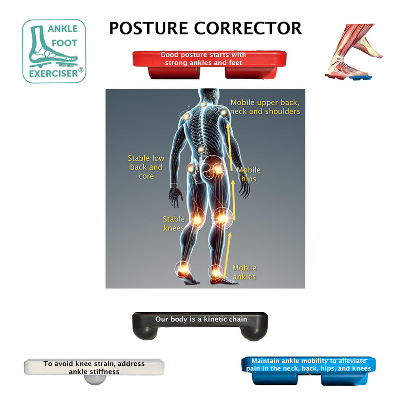 Ankle Foot Exerciser¬Æ Ankle Strengthener for ankle sprain relief, Foot Strengthener for plantar fasciitis; Ankle mobility, Posture corrector, Pilates board for home - BeesActive Australia