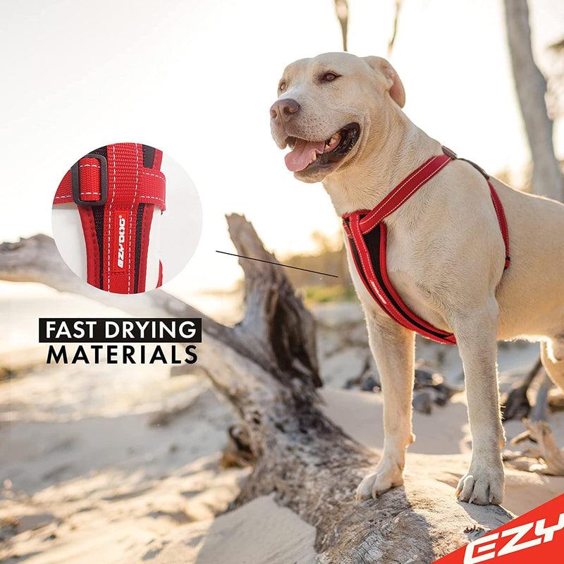 EzyDog Premium Chest Plate Custom Fit Reflective No-Pull Padded Comfort Dog Harness - Perfect for Training, Walking, and Control - Includes Car Restraint Attachment (Large, Blue) Large - BeesActive Australia