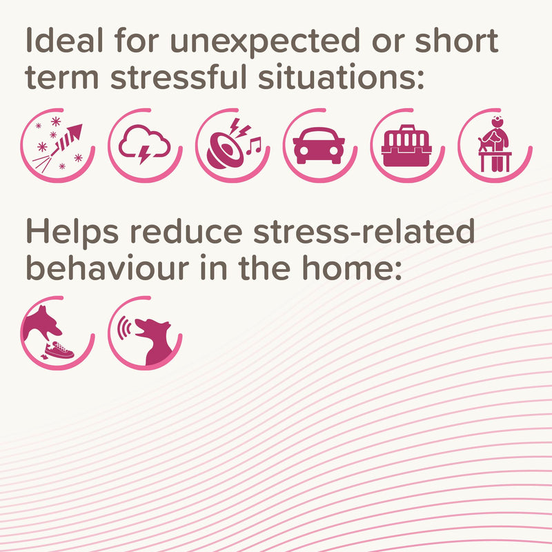 Beaphar - CaniComfort® Calming Spot-On For Dogs- Reduces Anxiety & Stress – Pheromone Calming - Fast-Acting - Starts Working in 15 Minutes - Ideal for Short-Term Events like Fireworks - 3 Pipettes