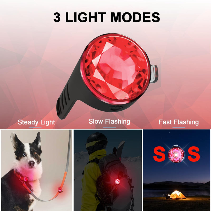 Pack of 2 dog collars, luminous for night, Tubasion luminous dog collar, rechargeable, 100% waterproof LED light for dogs. Dog Lights for Night Walks, Camping (Red) Red - BeesActive Australia