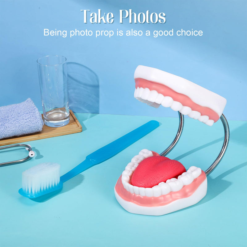 Baderke Huge Mouth Model with Hinge and Giant Toothbrush Set for Speech Therapy, Brushing Teaching Dental Teeth Model, Dental Hospital Health Education Tool(Blue) Blue - BeesActive Australia