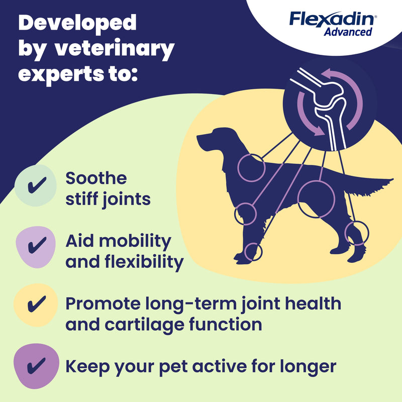 Flexadin Advanced Joint Care Supplement for Dogs containing Undenatured Type II Collagen, Boswellia serrata, Omega 3 & Vitamin E/Promotes joint health, mobility & flexibility | 60 chews