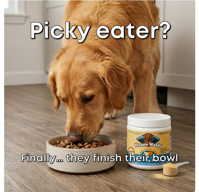 Bone Broth Dog Food Topper – Firm Stool Support, Digestion & Gut Health, Picky Eater Friendly with Pumpkin, Probiotics & Digestive Enzymes