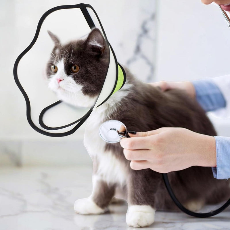YUEMING Neck Brace Dog Leak Protection, Soft Protective Collar, Adjustable Recovery Collar, Elizabethan Neck Brace for Pets After Surgery Wounds Prevention of Bite Lick Wounds L (Neck circumference: 38-47 cm) - BeesActive Australia
