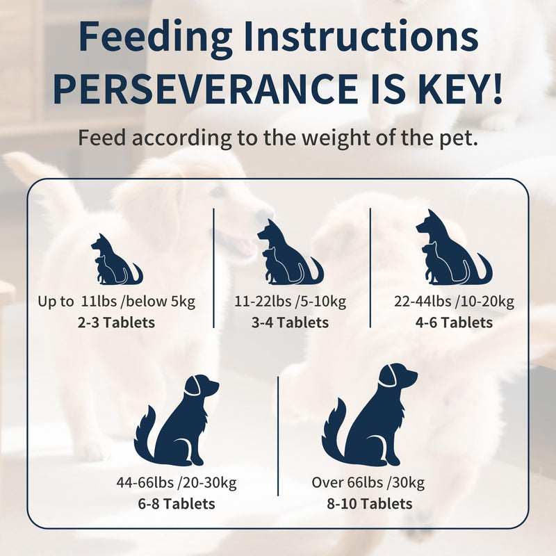 Vitamin B for Dogs, 200 Tablets, Vitamin B Complex Contains B12, B1, B2, B3, B5, B6, B7, B9 Supports Energy, Appetite, Digestive, Skin, Coat, Neurological Health, Suitable for Cats and Dogs(1 Bottle) Blue 1 Bottle (200pcs in total)