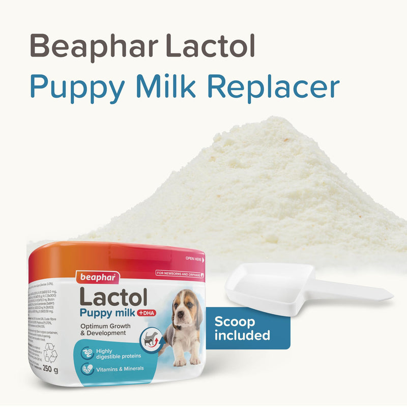 Beaphar- Lactol Puppy Milk 250g - Milk Replacer & Complete Feed for Newborn & Weaning Puppies – For growth & development – Contains DHA, Vitamins & Minerals – Ideal for Hand-Rearing – Use from Birth 250 g (Pack of 1)