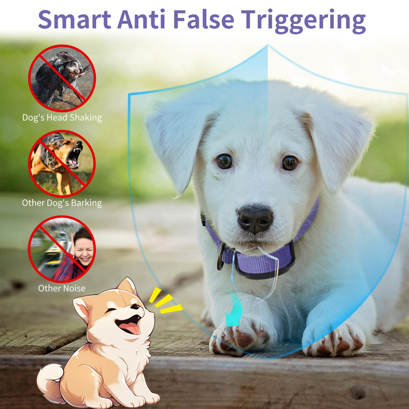 Dog Bark Collar, No Shock Bark Collar for Small Puppy Dogs, No Shock Barking Collar, Smart No Bark Collar, Smart Automatic Anti Bark Collar with 5 Sensitivity No Shock Vibration Collar Purple - BeesActive Australia
