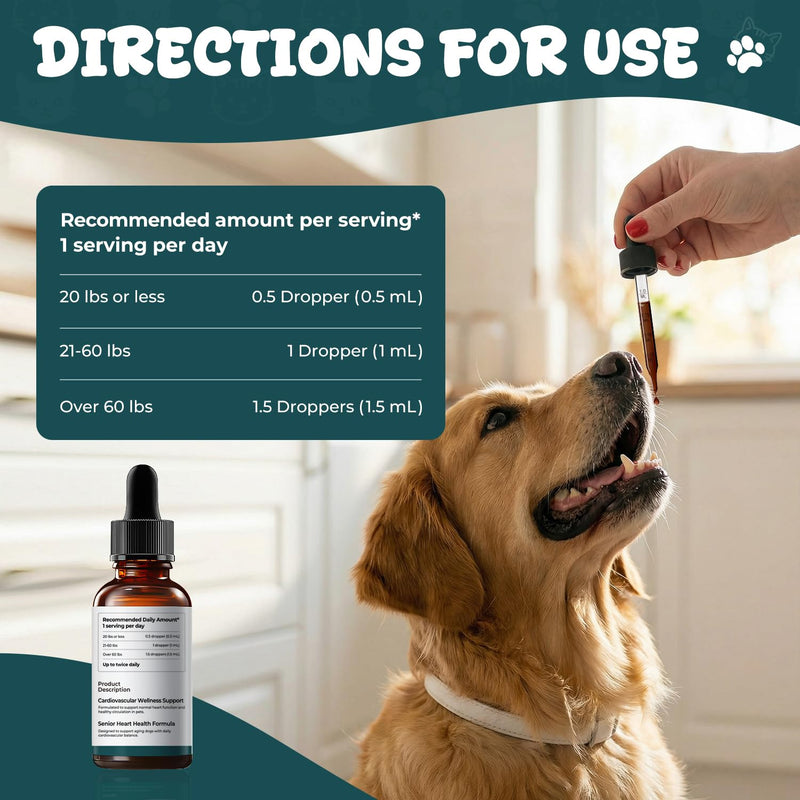 Young Heart Support for Dogs - Heart Health & Healthy Circulation Support - Cardiovascular Wellness Herbal Drops with Hawthorn, Ginkgo Biloba & Garlic - Dog Heart Supplement Liquid - 60 ml