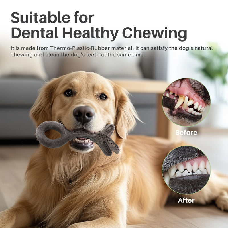 Gardner Pet 2-Pack Dog Chew Toys for Aggressive Chewers, Added Shredded Coconut Durable Nylon + TPR Interactive Dog Toys, Teething Toy for Medium/Large Breed, Bacon Flavor (Antlers+Bone L) Large Antlers + Large Bone - BeesActive Australia