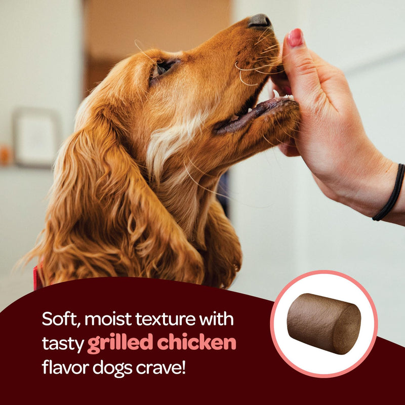 Hip and Joint Chews for Dogs | Dog Glucosamine Chews for Comfort & Mobility with Chondroitin MSM & Turmeric | Dog Joint Supplement for All Ages & Sizes | NASC Certified & Made in The USA | 60 Chews Hip and Joint 60 Count