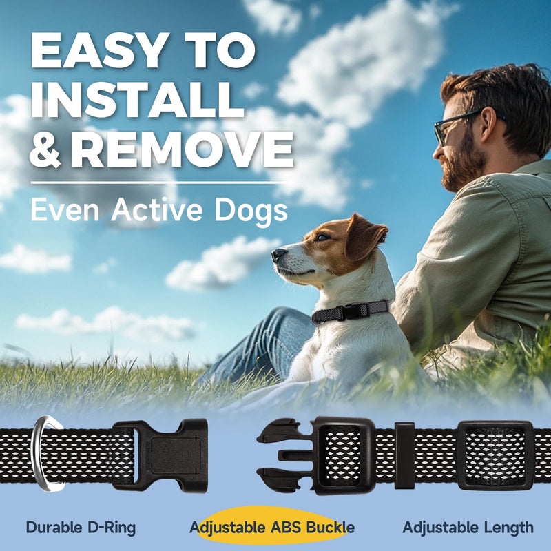 Dog Collar, Reflective Dog Collars with Buckle, Nylon Adjustable Collar for Small Medium Large Dogs (Black, S) - BeesActive Australia