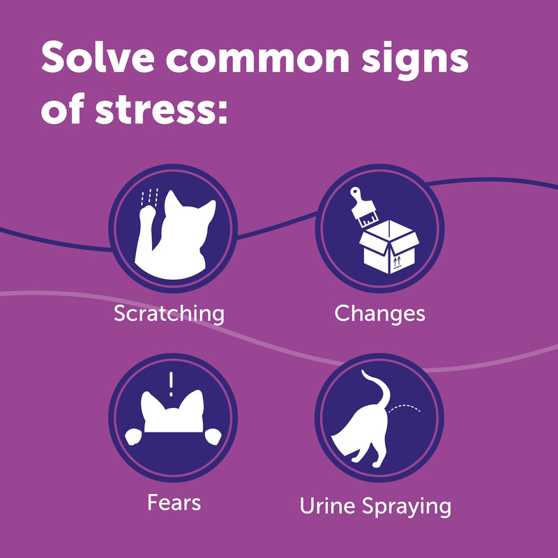 FELIWAY Classic 30 Day Cat Calming Plug In Pheromone Diffuser Starter Kit, 48ml - Helps Solve Common Signs of Stress in Cats & Kittens, Veterinary Recommended, Clinically Proven