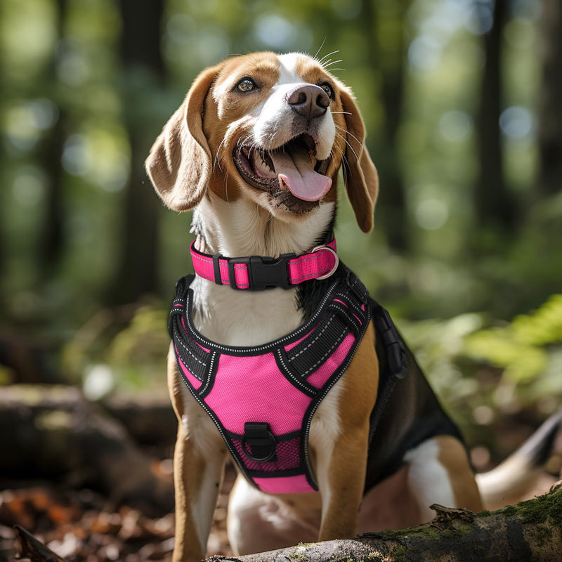 Joytale Reflective Dog Collar,Soft Neoprene Padded Breathable Nylon Pet Collar Adjustable for Large Dogs,Hotpink,L Large (Pack of 1) Hotpink - BeesActive Australia