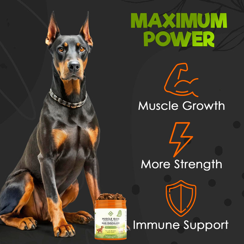 ZENO 11-in-1 Muscle Gain Chews - Weight Gain Supplements for Dogs with High Protein & Amino Acids - Premium Muscle Builder for Bully & All Breeds - Healthy for Puppies - 150 Chews - Beef
