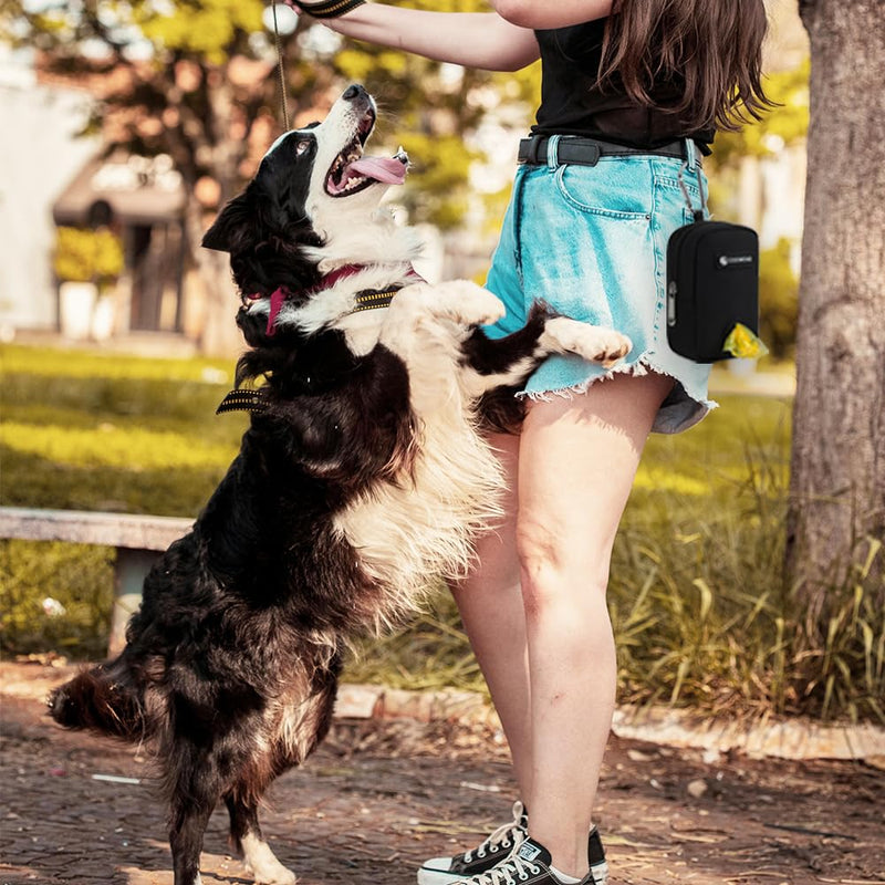 Dog Treat Pouch Dog Poop Bag Holder For Leashes, Pets Snack Container With Inner Mesh Bag, Puppy Supplies Perfect For Training And Walking - Hands Free Dog Waste Bag Dispenser -Dog Travel Accessories Black - BeesActive Australia