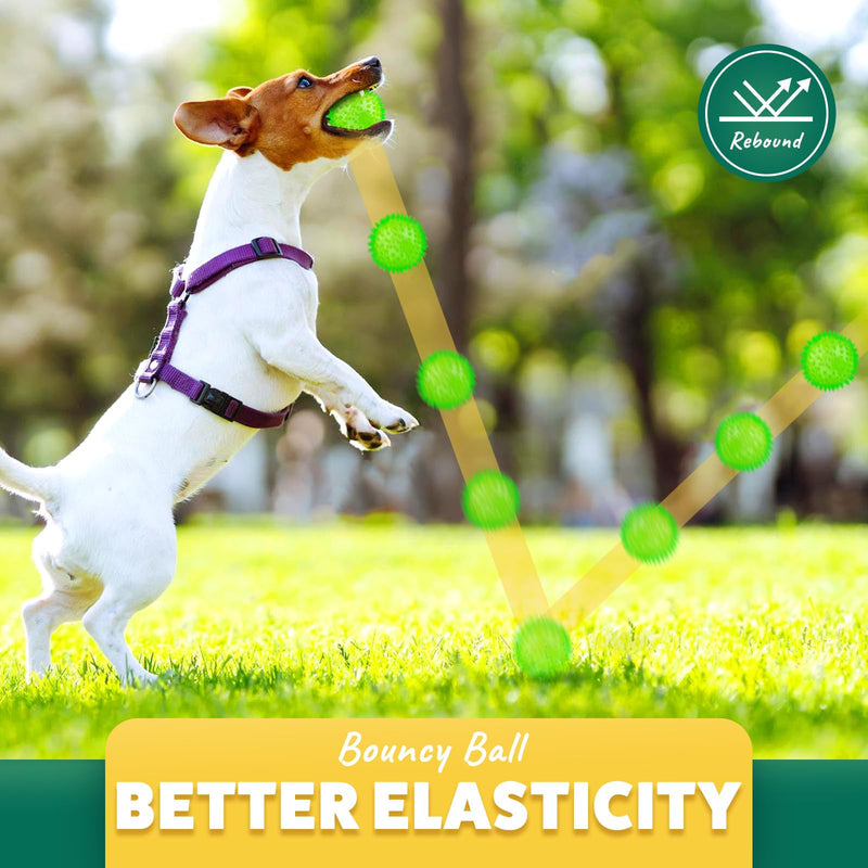 2 Different Functions Interactive Balls for Dogs 2.5” Squeaky Dog Balls Toys and Puppy Teething Chew Toy Balls for Small Dogs Dog Balls for Clean Teeth and Training （5Pcs） 5pcs - BeesActive Australia