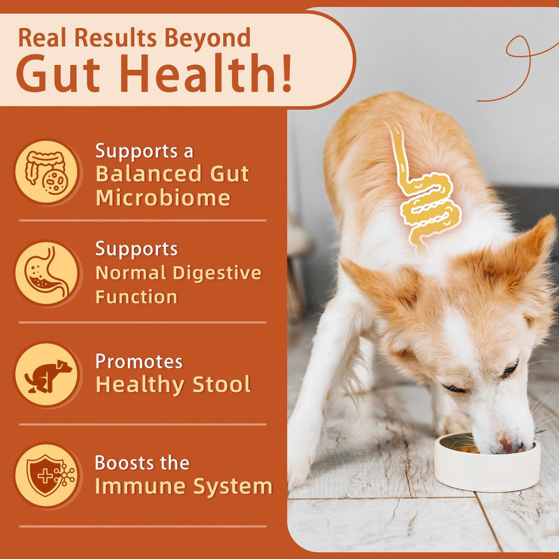 Probiotics for Dogs Soft Chews & Freeze Dried, Pumpkin Flavor