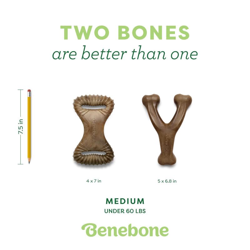 Benebone 2-pack Wishbone/Dental Durable Dog Chew Toys, Dog Toys for Aggressive Chewers, Real Bacon, Made in USA, Medium - BeesActive Australia