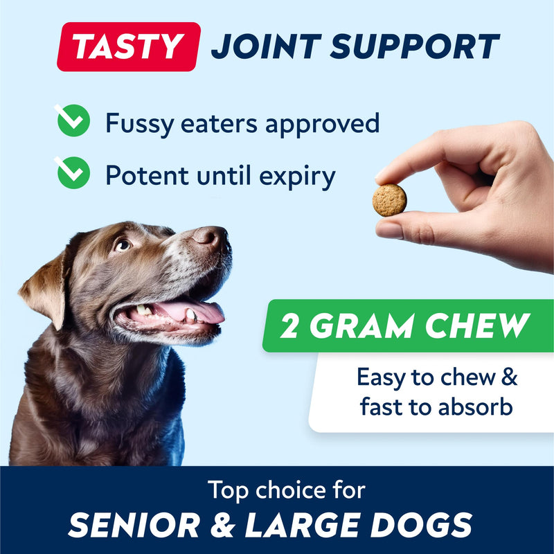 STRELLALAB - Treats Over Tablets! Advanced Dog Joint Supplement Chews - Hip & Joint Health Care with Glucosamine & Chondroitin - Made in UK - Senior & Adult - Dogs & Horses - 120 Count 120 Joint Treats