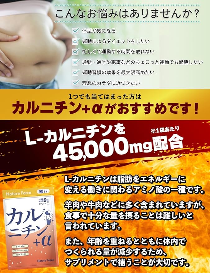Carnitine Supplement Diet L-Carnitine 45,000mg Contains Carnitine + α 60 days 300 tablets 1 bag Black Ginger Capsaicin Vitamin B1 - BeesActive Australia